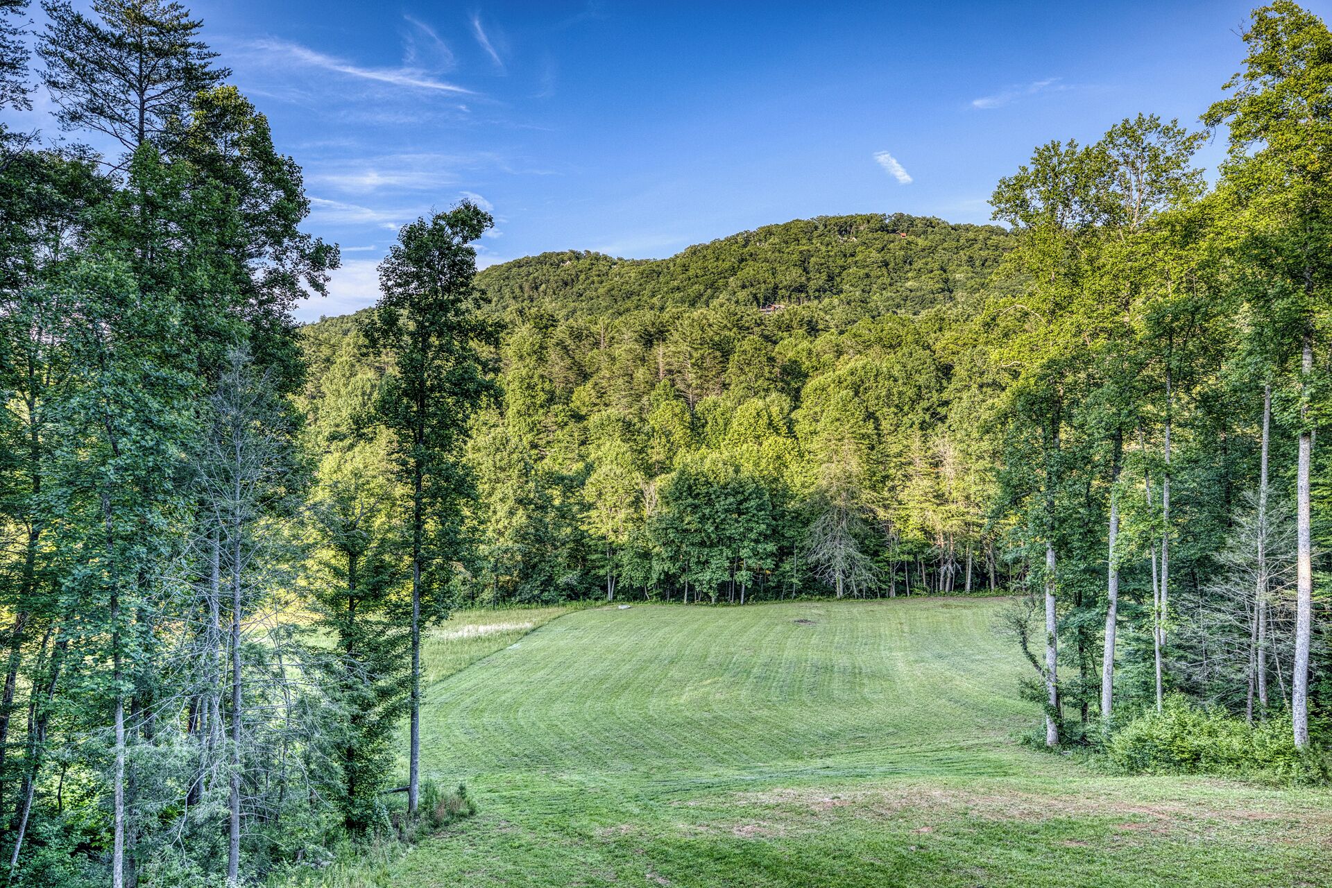 Un champ herbeux avec des arbres et une colline en arrière-plan.