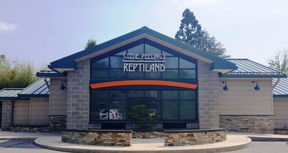 Beautiful and spacious 4-bedroom home in Danville, with WiFi and AC.