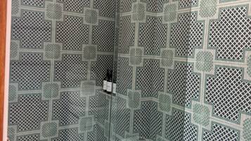 Shower, towels, soap, toilet paper