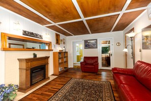 TV, fireplace, books