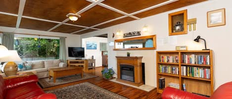 TV, fireplace, books