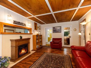 TV, fireplace, books