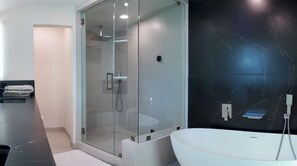 Shower, hair dryer, toilet paper