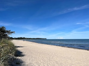 En strand med klar himmel, sandstrand och träd i fjärran.