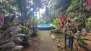 Un sentier qui mène à une piscine entourée d’une végétation tropicale luxuriante.