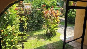 Un jardín con diversas plantas y un sendero que lleva a un edificio.
