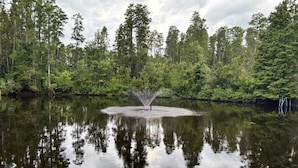 En stilla sjö med en fontän i mitten, omgiven av tät skog.