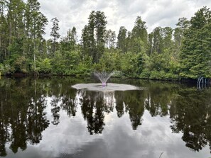 Un lago tranquilo con una fuente en el centro rodeado de un bosque denso.