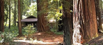 The Groves at Redway Beach - Studio