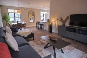 TV - Riverside Dingle - Luxury Apt 4 (Dingle)
