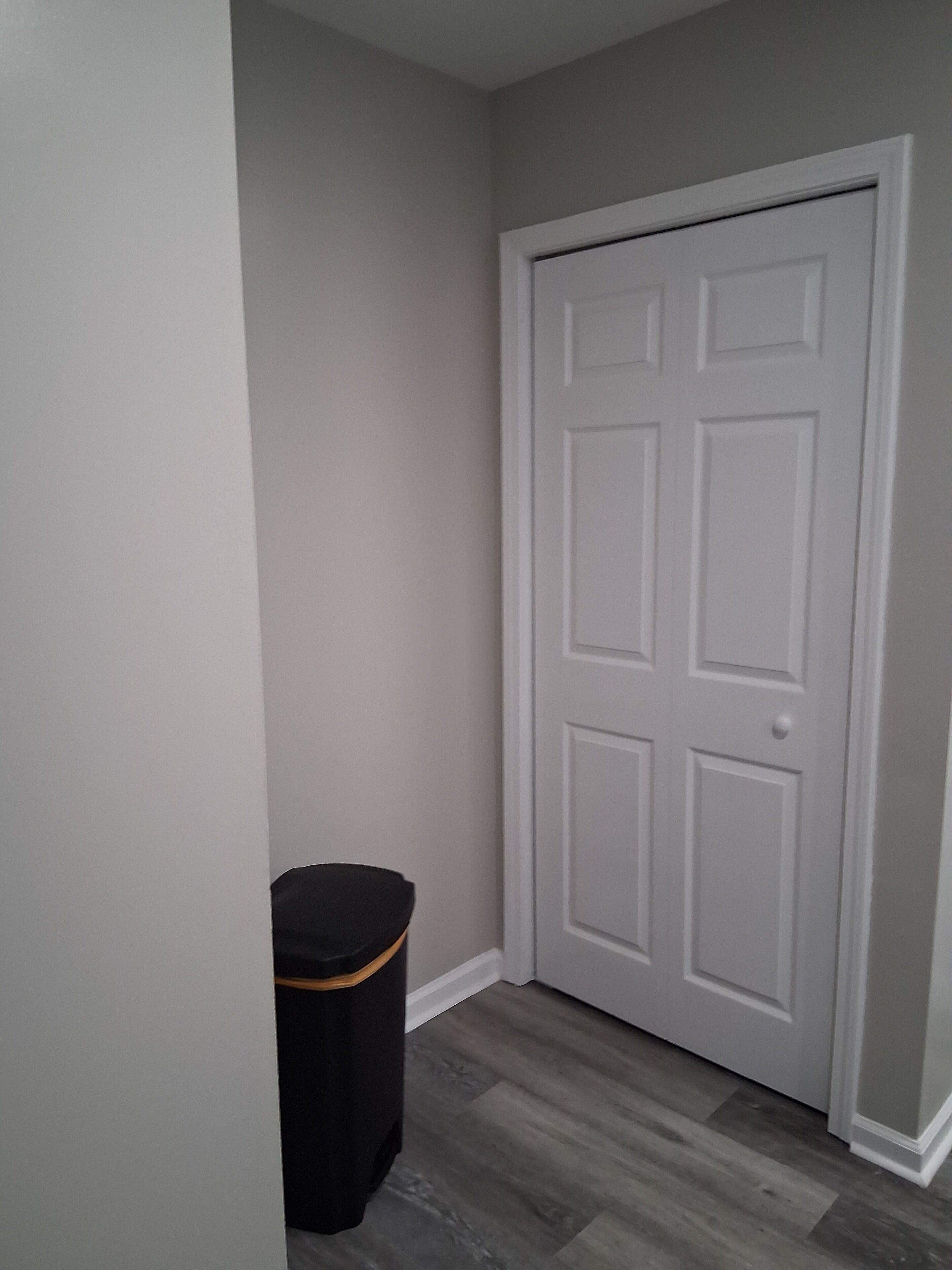 Un couloir avec une porte blanche fermée, une poubelle noire et un plancher en bois gris.