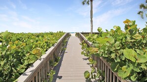 A wooden boardwalk surrounded by lush greenery and a palm tree in the distance. - Luxurious 2BR Gulfview Condo On Siesta Key Steps To The Beach Gulf Horizon (Sarasota)
