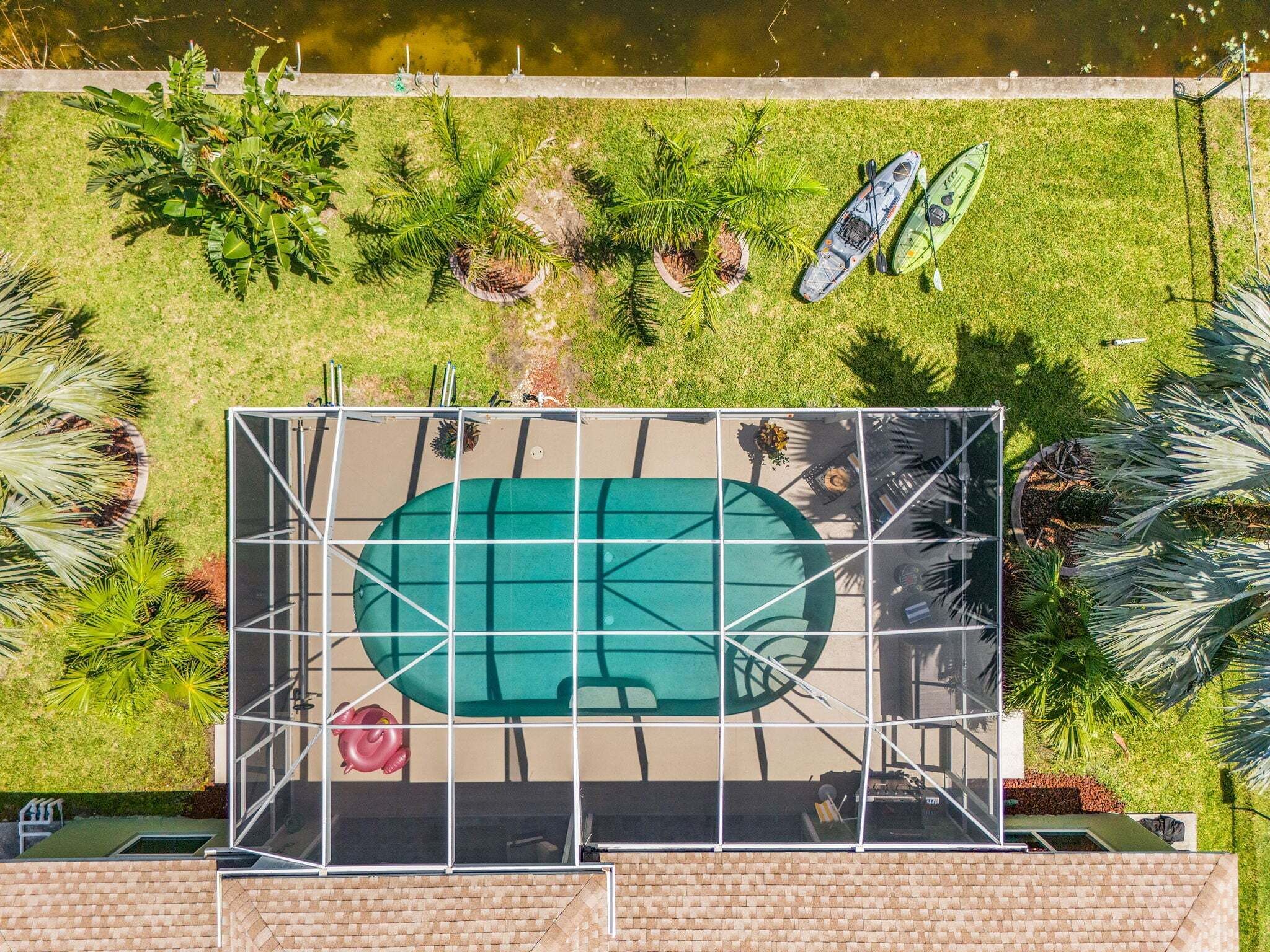 An aerial view of a rooftop swimming pool with surrounding palm trees and two kayaks.