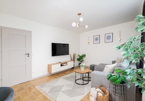 Fernseher