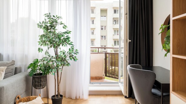 A modern living room with a sofa, a dining table, a potted plant, and a view of an apartment building through an open door. - Wrzeciono Comfortline Apartment (Warszawa)