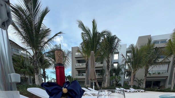A bottle of red wine with a blue bow and a glass of red wine on a white table by a poolside with palm trees and modern buildings in the background. - El Paraiso (Dominicus)