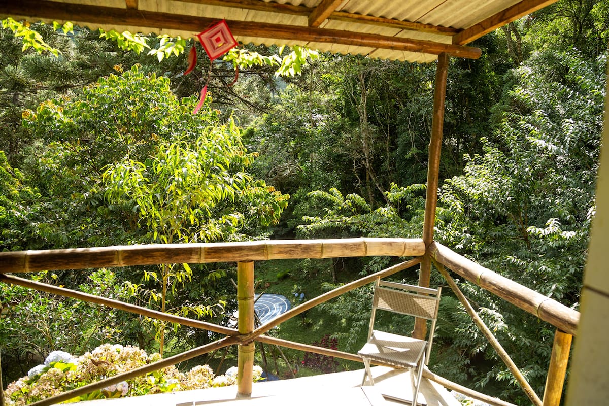 A bamboo-framed outdoor seating area with a view of dense forest.