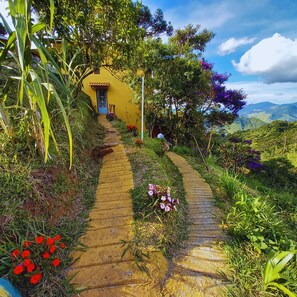 Maison Familiale, vue jardin