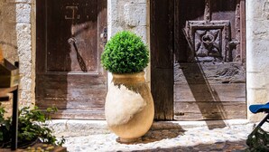 Un antiguo edificio de piedra con dos puertas de madera, una con una reja metálica, y una planta grande en maceta al frente.