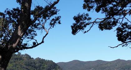 Great Barrier Island Escape-Book a Room or whole House