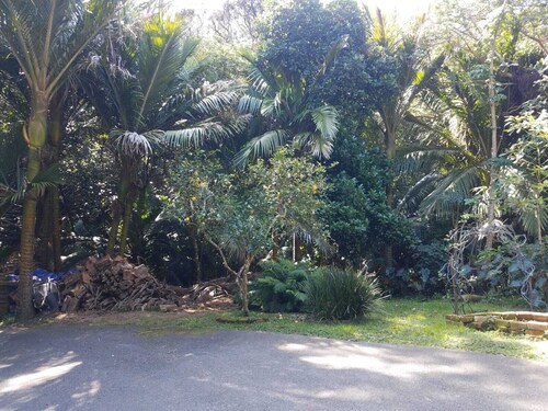 Great Barrier Island Escape