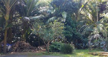 Great Barrier Island Escape