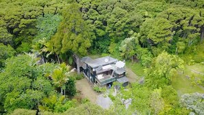 Una casa ecológica de dos pisos rodeada de un bosque frondoso.