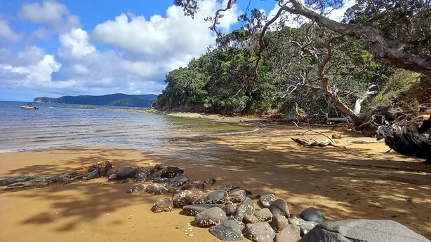 Una playa con agua cristalina, rocas y árboles.