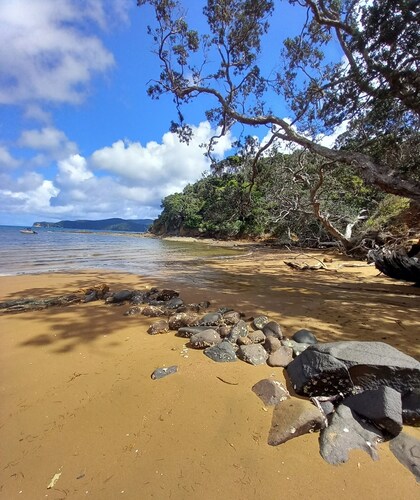 Great Barrier Island Escape