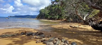 Great Barrier Island Escape