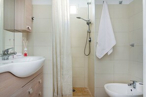 Shower, hair dryer, bidet, towels