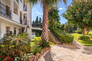 Un patio con un camino de piedra, palmeras y diversas plantas.