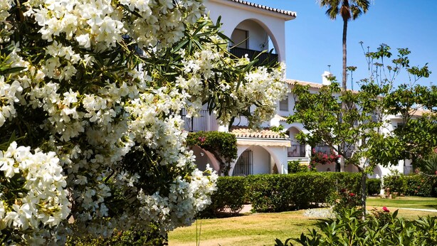 A building with a white facade, arched windows, and a palm tree in the background. - El Faro Hideaway by Lica Homes (Mijas)