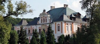 Palac w Czyzowie szlacheckim