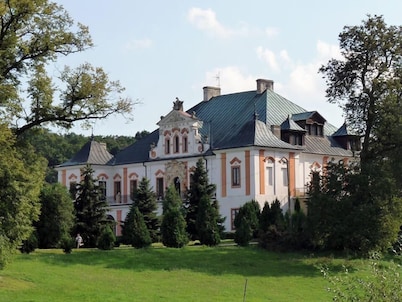 Palac w Czyzowie szlacheckim