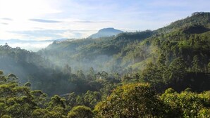 A lush, green landscape with rolling hills and dense vegetation. - Punsisi Resort - Delhousie Adamspeak (Nallathanniya)