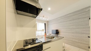A modern kitchen with a built-in stove, oven, and sink. - EFFECT Kikusui (Sapporo)