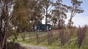 A modern building with a dark exterior, surrounded by a vineyard. - Churinga Orchards by Tiny Away (Lenswood)