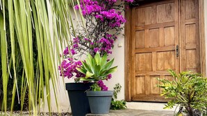 Eine Holztür, ein Blumentopf mit violetten Blüten und eine hohe, grüne Pflanze.