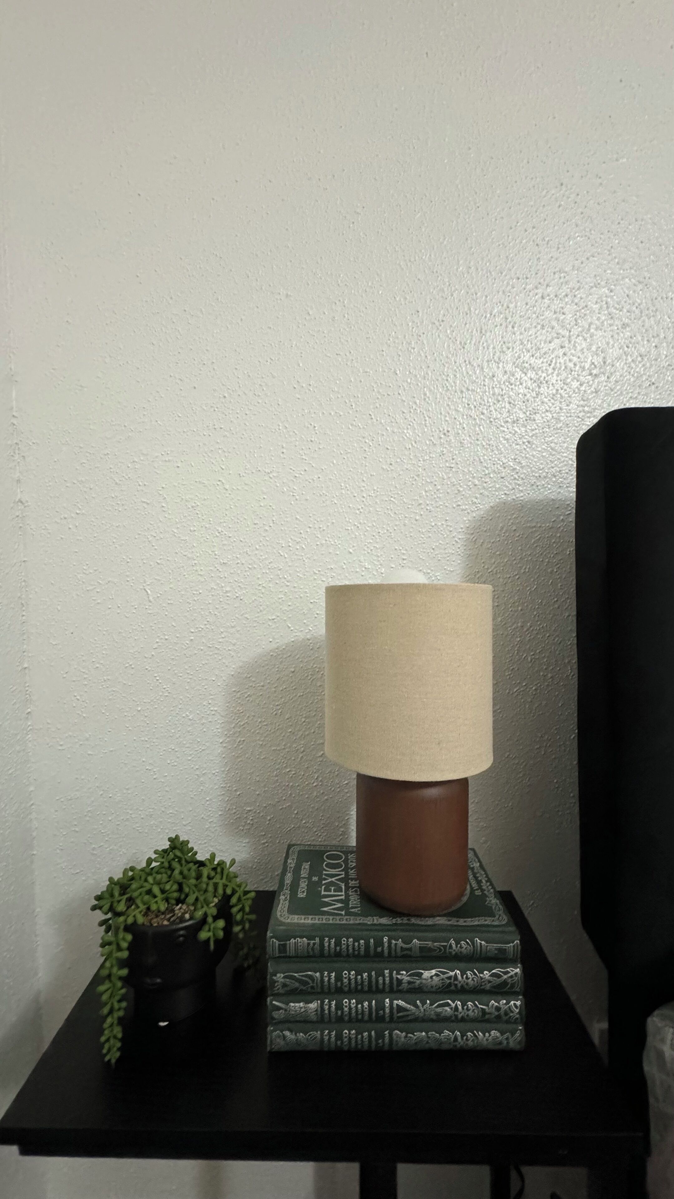 A table with a lamp, a small potted plant, and a book titled "Mexico" on a black table against a textured wall.
