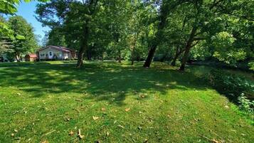 A grassy area with trees and a house in the background.