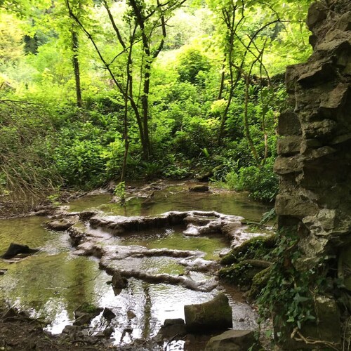 Boho Family Escape near Dunraven Bay with Sea View