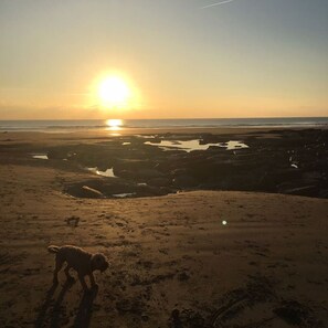 Una playa cerca