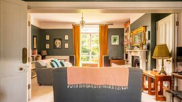 TV, fireplace, video games, DVD player