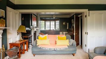 Télévision, cheminée, jeux vidéo, chaßne hi-fi