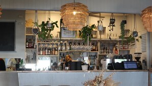 A bar area with shelves of bottles and glasses, hanging plants, and a coffee machine.