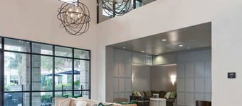 Peony At Millennium - Elegant 2 BDR in Houston