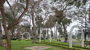 Un parc avec des arbres, une allée pavée et des structures en treillis blanc.