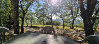 The Foxes of Turrita