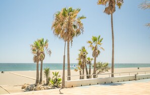 Een strand met palmbomen en een heldere lucht.